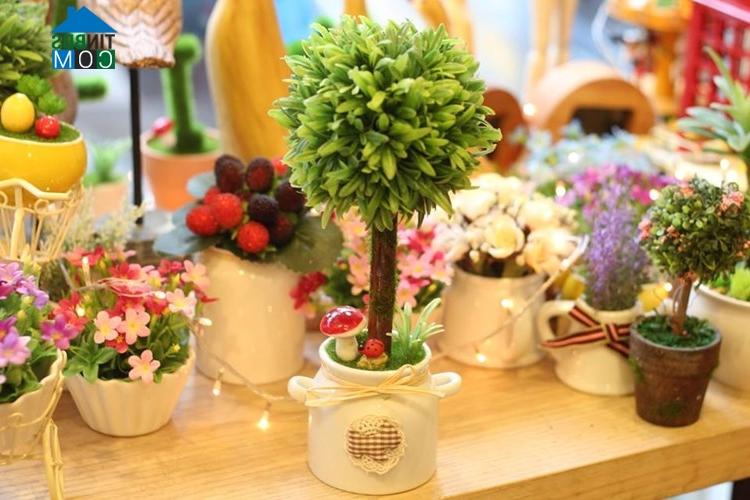 Ảnh Trang trí phòng bé bằng các loại cây đáng yêu