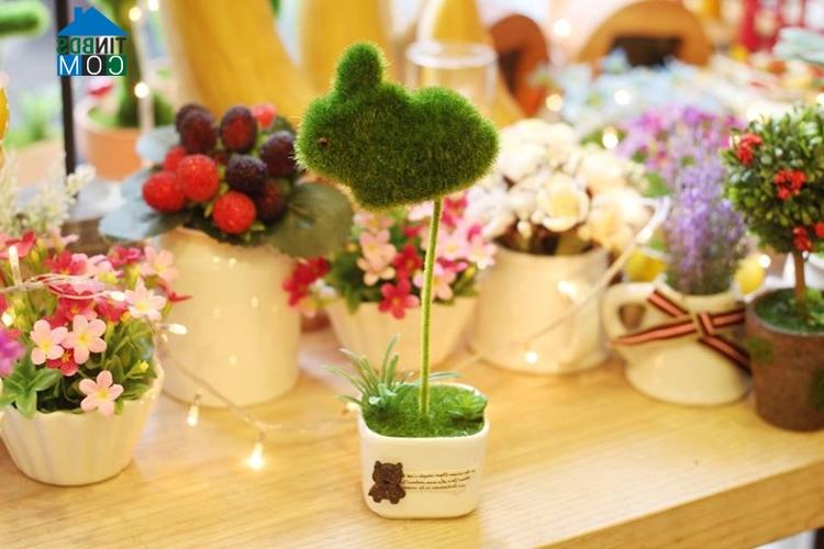 Ảnh Trang trí phòng bé bằng các loại cây đáng yêu
