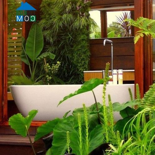 Ảnh Để phòng tắm cũng ngập tràn sắc xuân