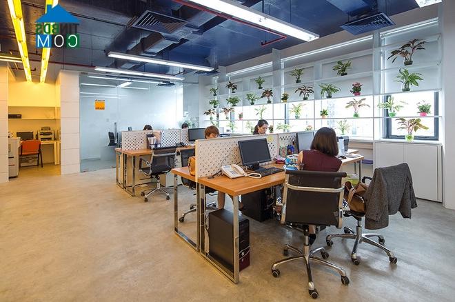 Ảnh Thiết kế văn phòng 130 m2 tránh nắng và có cây xanh