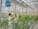 Quy hoạch Khu nông nghiệp công nghệ cao Hậu Giang rộng 5.200 ha