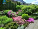 Khu vườn rực rỡ sắc hoa của gia đình người Việt ở Đức