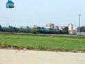 Giá đất đấu giá tại huyện Phú Xuyên tối đa là 5 triệu đồng/m2