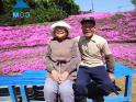 Khu vườn tuyệt đẹp dành tặng người vợ mù của ông lão Nhật Bản