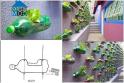Thiết kế vườn treo tiết kiệm không gian từ vỏ chai nhựa