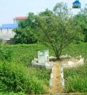 Chỉ đạo xử lý vụ "xẻ thịt" đất công tại Đông Anh