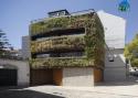 Ngôi nhà 4 tầng phủ kín cây xanh ở Tây Ban Nha