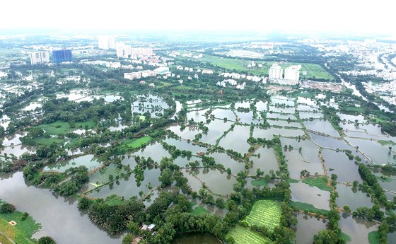 BĐS Tp.HCM biến động ra sao khi chuyển đổi 26.000 ha đất nông nghiệp?