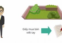 Đất giấy tay có làm thủ tục tách thửa được không?