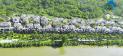 Hình ảnh khu compound biệt thự hạng sang ven sông của Mizuki Park