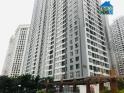 Giá chung cư tiếp tục tăng mạnh khiến người dân chuyển sang thuê nhà