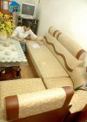 Ghế sofa - ổ côn trùng nơi phòng khách