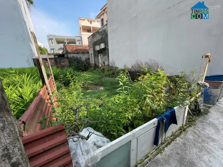 Ảnh Cần bán lô đất đẹp tại Xóm Cậy, thôn Cổ Điển A, huyện Thanh Trì, Hà Nội 0