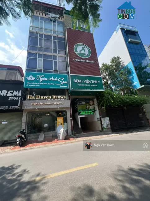 Ảnh Bán gấp tòa Building mặt phố Nguyễn Khang, dòng tiền 1.8 tỷ/năm, thông sàn 90m2 chỉ 45 tỷ 0