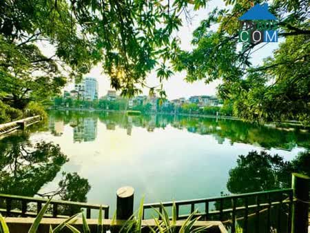 Ảnh Hot! Bán Nhà Ngõ 135 Đội Cấn 165M MT 12M Ô Tô Vào Nhà Giá 46.75 Tỷ 0