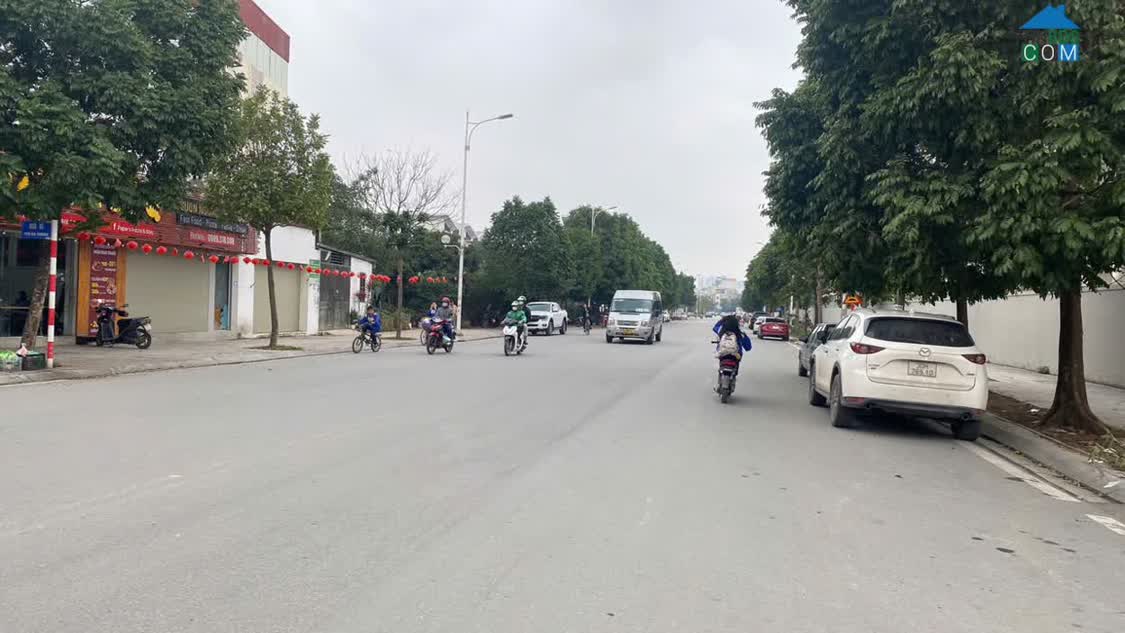 Ảnh Bán Biệt Thự Cổ Thời Pháp Phố Gia Thượng 160m, 3t, Mt8m, Ô Tô Vào Nhà, 3 Thoáng,Giá Đầu Tư 0