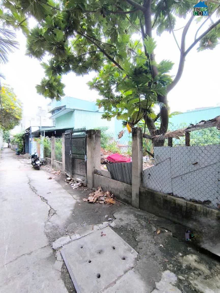 Ảnh Bán đất189m2 ngang 11m dài 17m, đường Gò Dưa, Tam Bình, Thủ Đức giá 4,6 tỷ 0