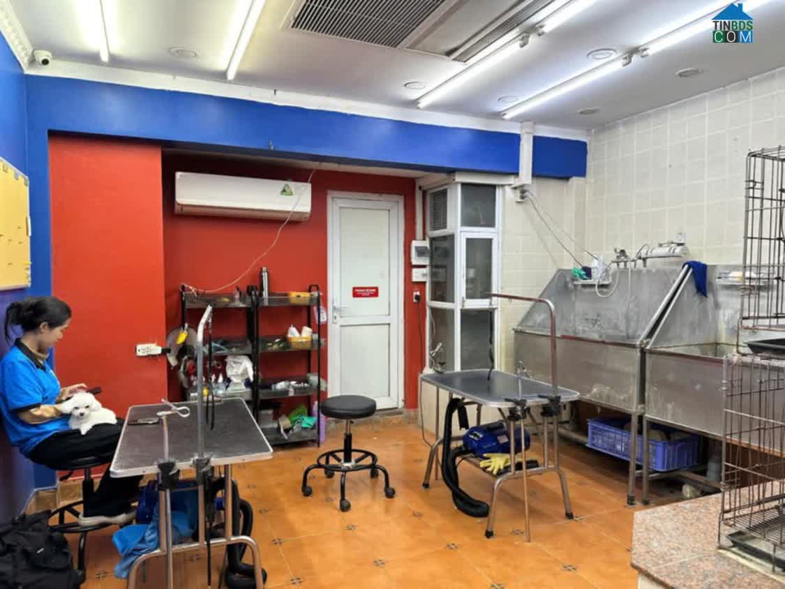 Ảnh Bán Nhà Mặt Phố Kim Mã _ Kinh Doanh Vip _diện Tích 55M 0