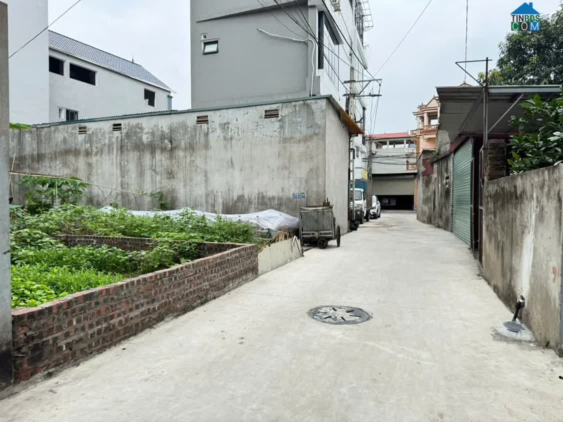 Ảnh Bán 82m đất tổ 4, Quang Minh, Mê Linh. Gần khu công nghiệp và sân bóng Giai Lạc 0