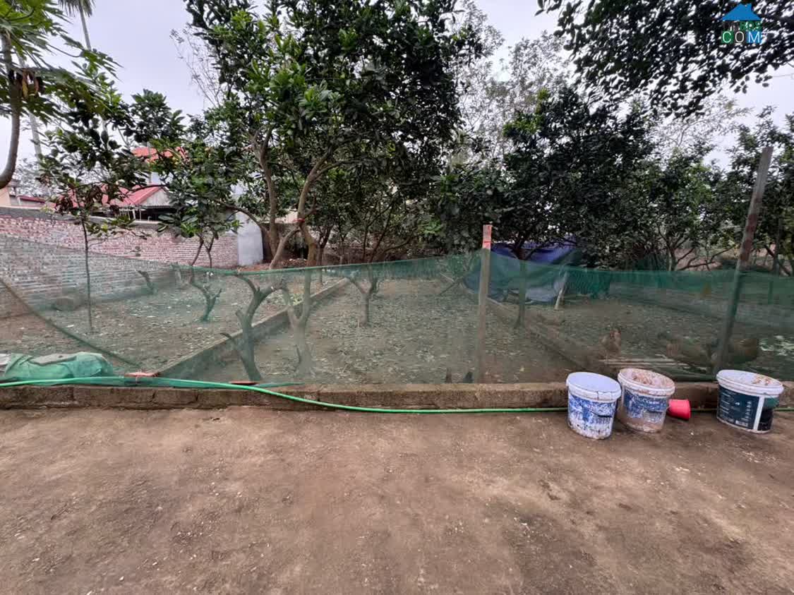 Ảnh Bán 35m đất tổ 9, Quang Minh, Mê Linh. Gần KCN và trường cao đẳng Y Dược Tuệ Tĩnh 0