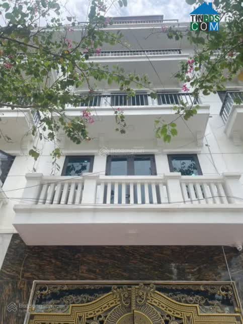 Ảnh Mặt phố Nguyễn Sơn Hà 48m², phân lô, vỉa hè– Kinh doanh đỉnh – 14,5 tỷ 0