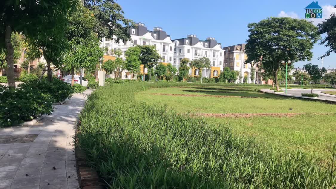 Ảnh Cần Bán Biệt Thự 221M2 Đường 12m, NV13 Tại Lideco (0915458886) 0