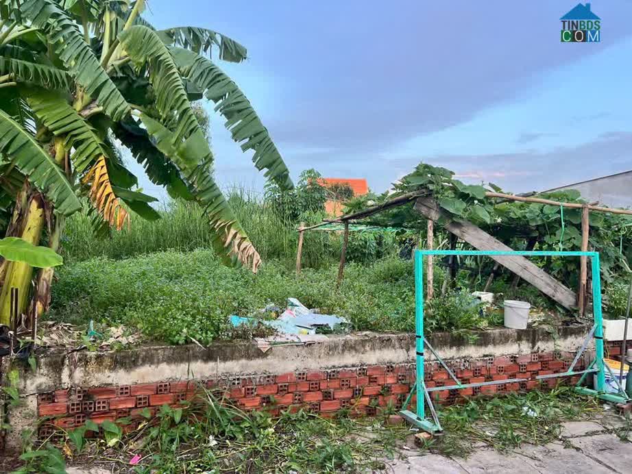 Ảnh Mã căn:HP001 Diện tích: 318.0m2. Giá 3.8 tỷ. Đường Nguyễn Văn Tạo, Hiệp Phước, Nhà Bè 0