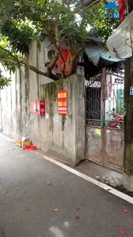 Ảnh ĐẤT Phố Trạm 195 M2 mặt tiền 24.2m X 31 tỷ Long Biên. PHÂN LÔ TÔ TÔ QUA - VÀO ĐẤT. 0