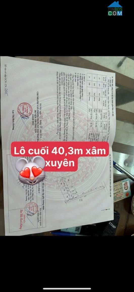 Ảnh Siêu Phẩm Lô Góc Gần Vành Đai 4 Tại Xâm Thị Hồng Vân 0