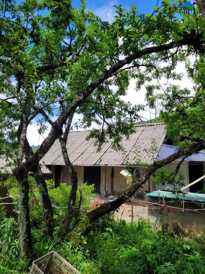 Ảnh Bán Đất Tại Phường Sa Pa - Thị Xã Sa Pa, Tỉnh Lào Cai 0