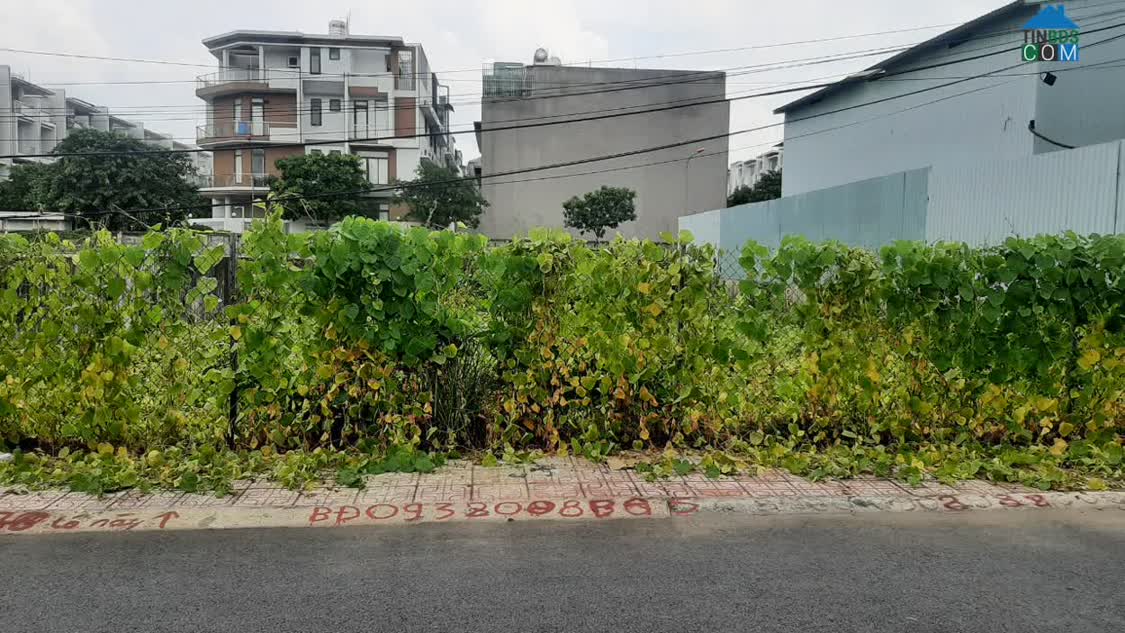 Ảnh Bán Lô Đất Biệt Thự 2 Mặt Tiền Đường Số 3 Hiệp Bình Phước - Thành Phố Thủ Đức 0