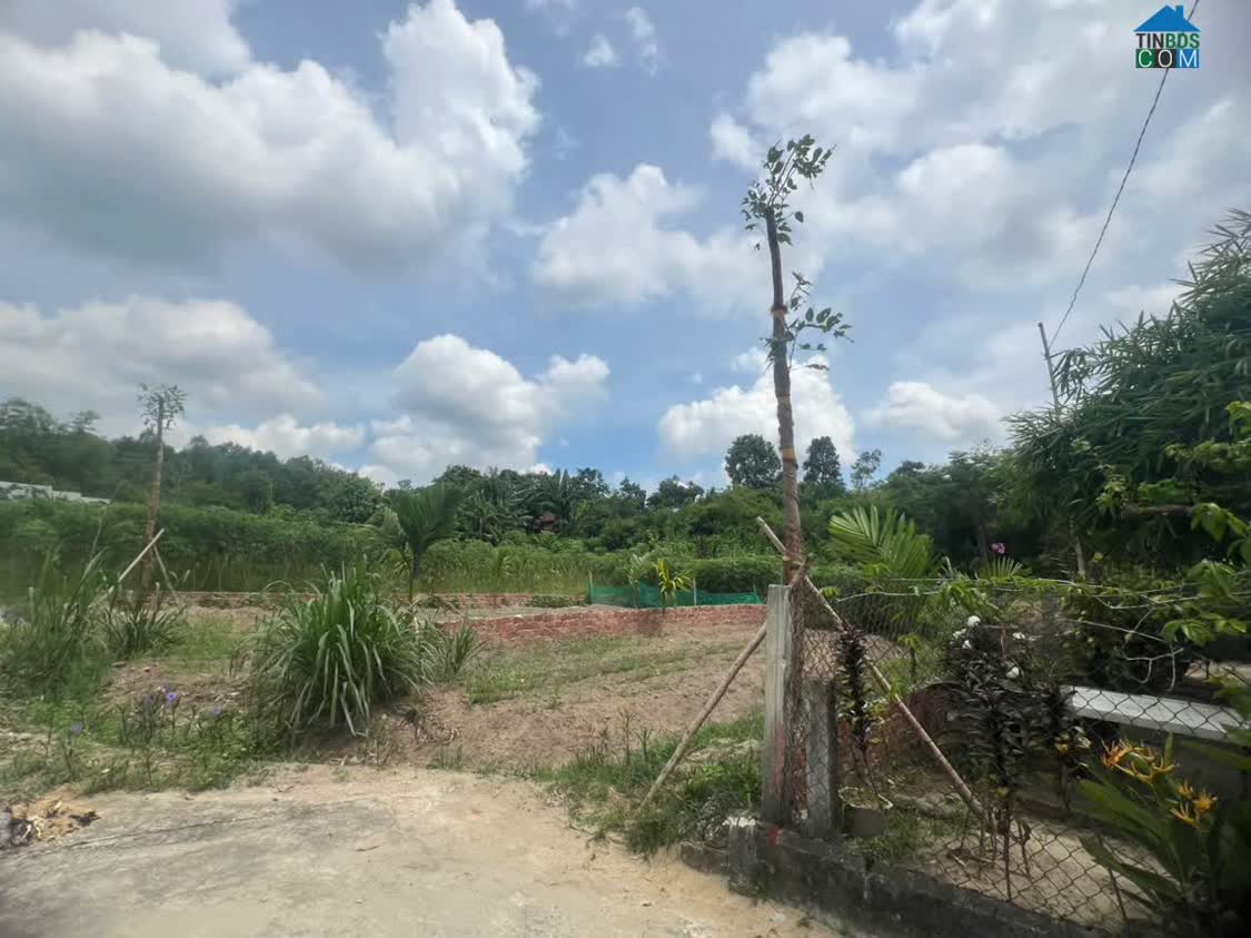 Ảnh Bán Lô Đất Đẹp Ngay Quốc Lộ 14e – Bình Định Nam, Thăng Bình – Giá Chỉ 790 Triệu 0
