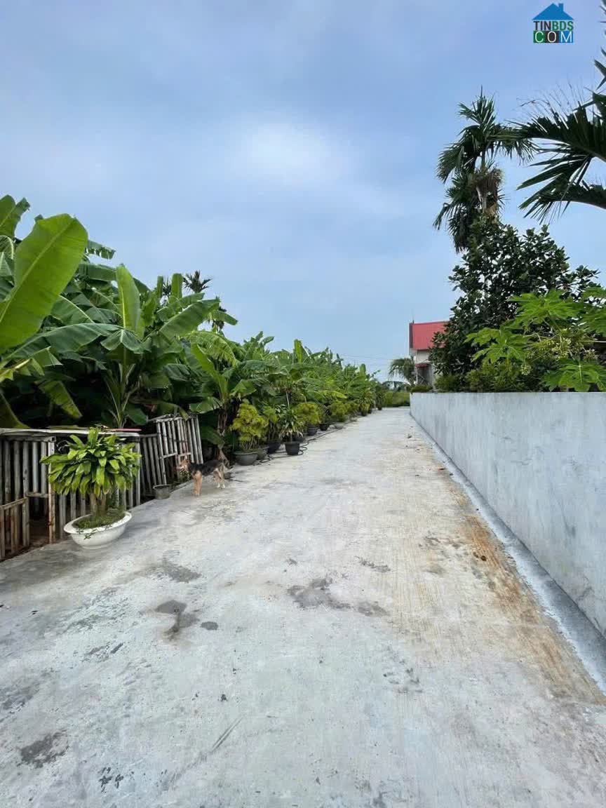 Ảnh 6xx triệu 65m2 Lão Phú Tân Phong Kiến Thụy Zalo 0567222555 0