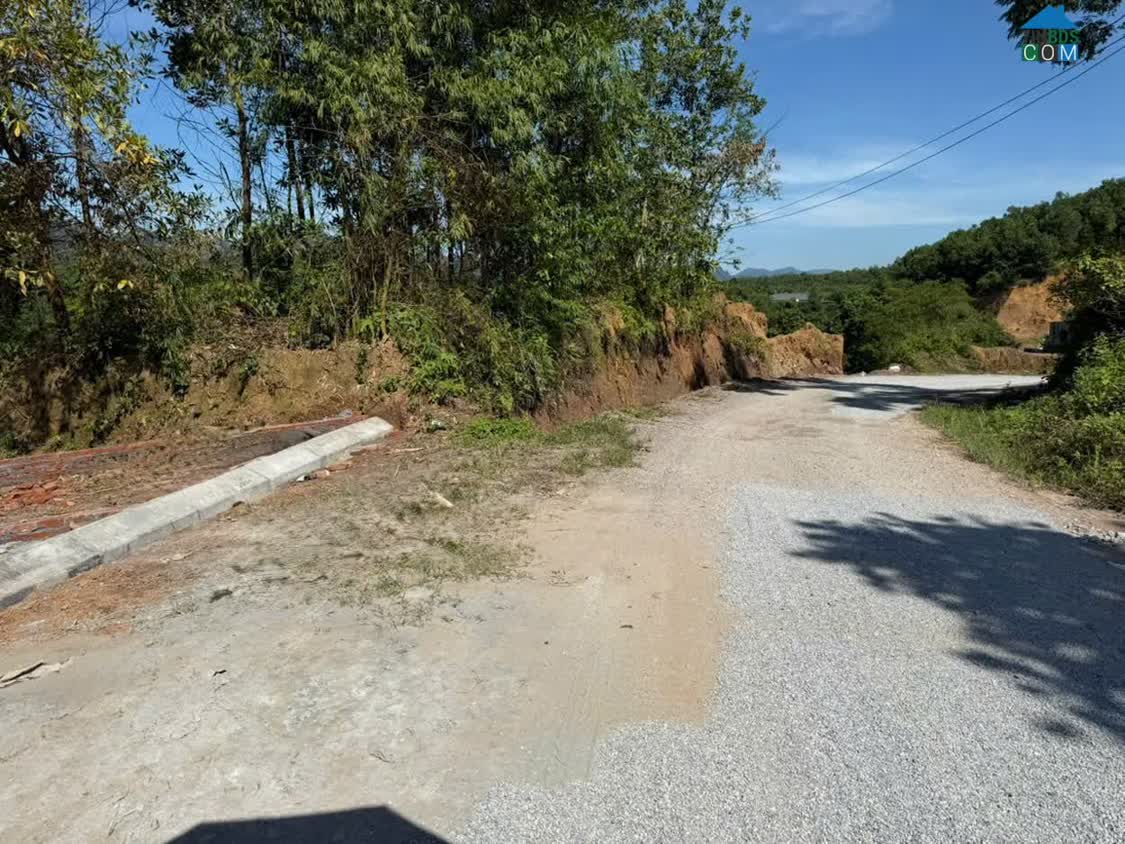 Ảnh Đầu Tư Đất Nền Trung Tâm Thị Trấn Ba Hàng Đồi - Lạc Thuỷ – Sinh Lời Ngay! Sát Khu Công... 0