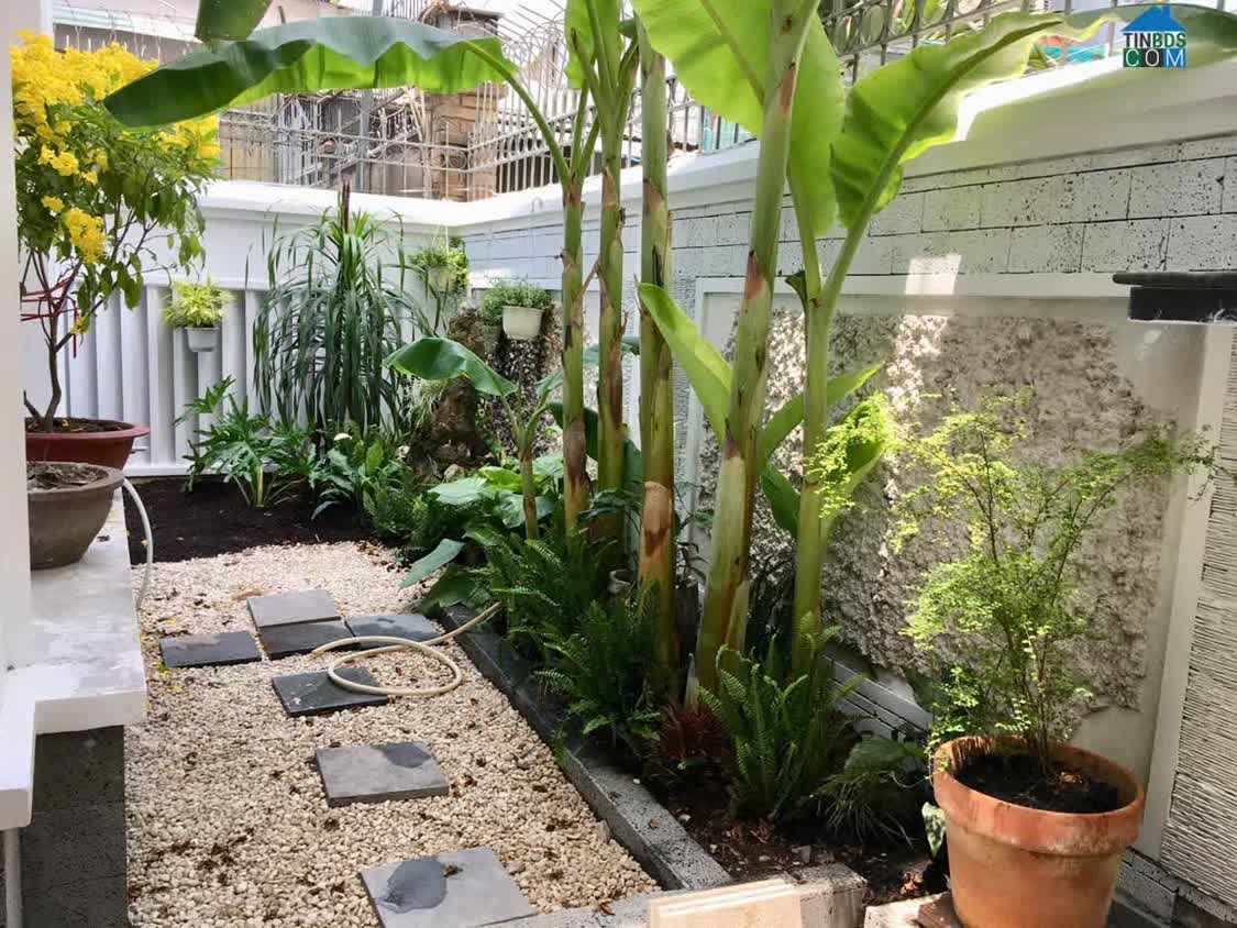 Ảnh Bán Nhà Hẻm Xe Hơi 12/20 Nguyễn Cảnh Dị, P4, Tân Bình 3