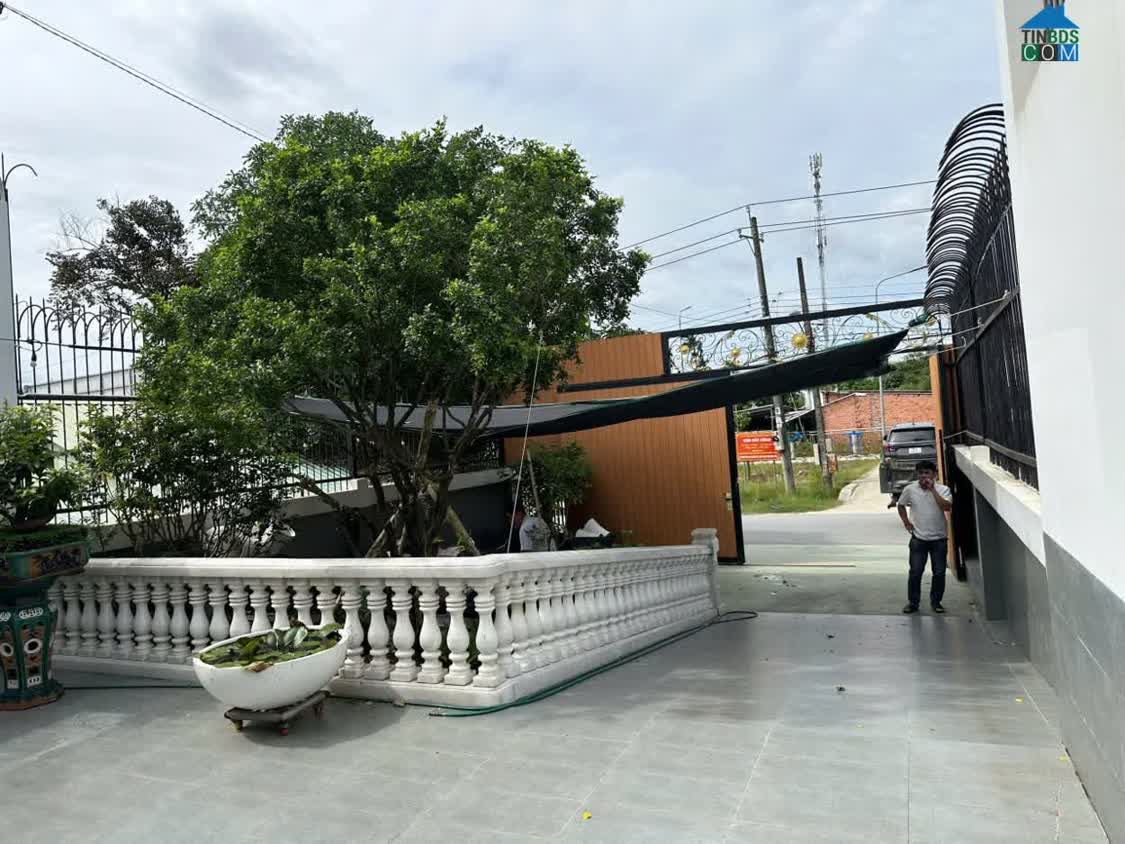 Ảnh Nhà Vườn Mini House Đẹp Gần Sông Nghỉ Dưỡng 311M P.Chánh Hiệp TPHCM 0