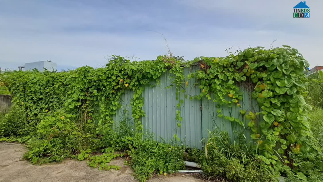 Ảnh Bán 2 Lô Đất Liền Kề Đường số 40 Hiệp Bình Chánh Thành Phố Thủ Đức 0