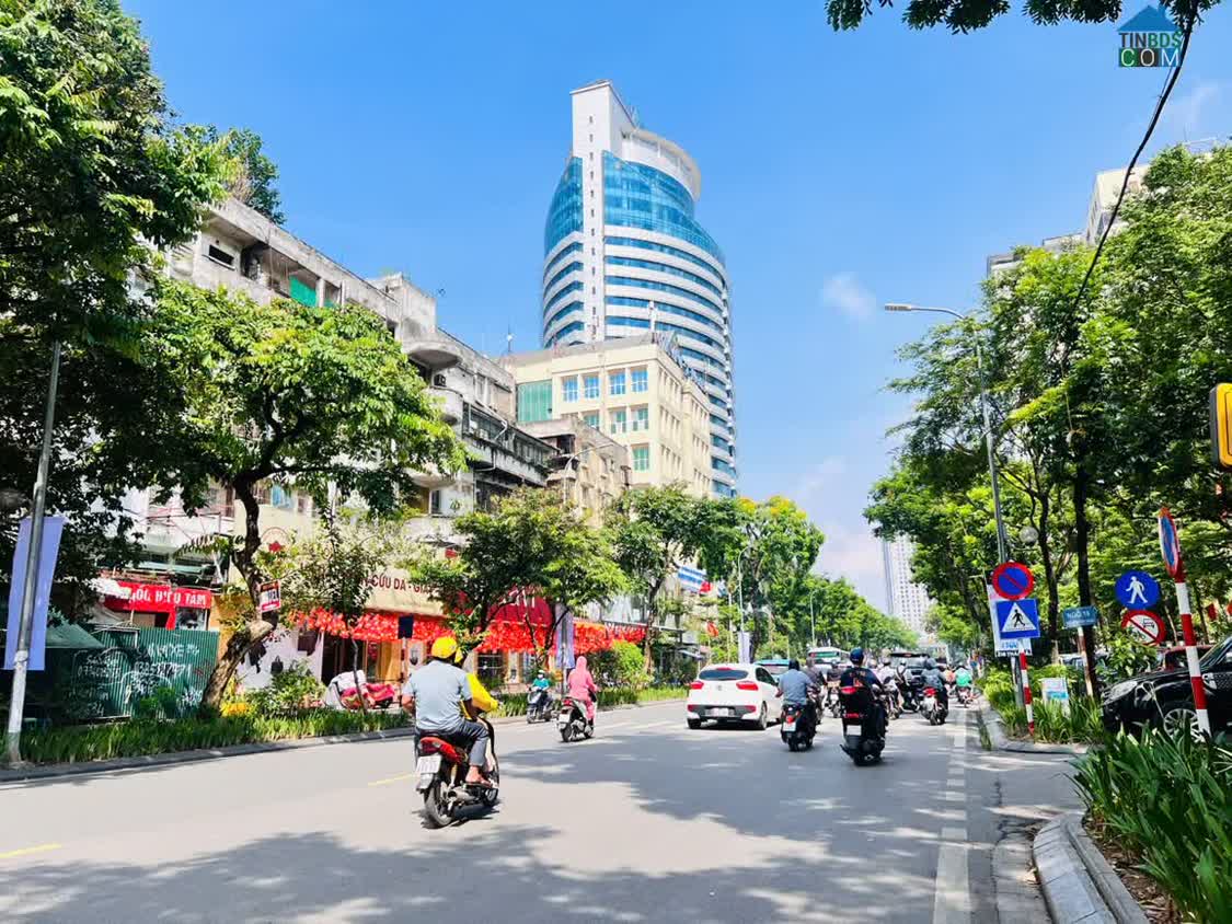 Ảnh Sở Hữu Nhà Mặt Phố Linh Lang 89m² - Mặt Tiền 7M * 6 Tầng - Tài Sản Quý Hiếm Giữa Ba Đình 0