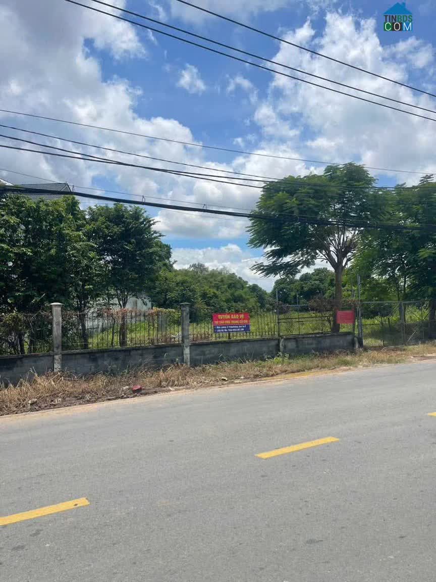 Ảnh Bán Đất Mặt Tiền Hồ Văn Tắng - Tân Phú Trung - Củ Chi 50X140M 0