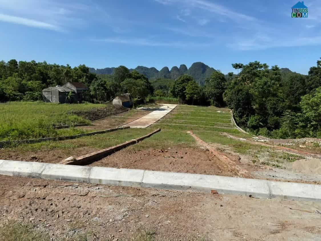 Ảnh Vị trí vàng: Đường 25m Tây Bắc – chỉ 800m ra QL21, Diện tích: 100m² | Mặt tiền 4m Giá chỉ 460... 0