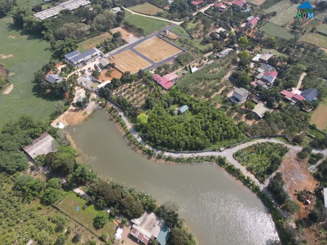 Ảnh Đất Nền Sát KCN Phú Thành – Chỉ 600 Triệu/lô! Lạc Thủy, Hòa Bình 0