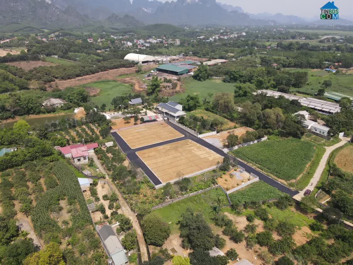 Ảnh CHỈ 750 TRIỆU/LÔ, Diện tích: 90m² , tại Phú Thành, Lạc Thủy, Hòa Bình 0