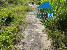 Ảnh Cho Thuê (Hoặc Bán) Đất + Kho Kiên Cố – Mặt Ngoài Quốc Lộ 1a 2