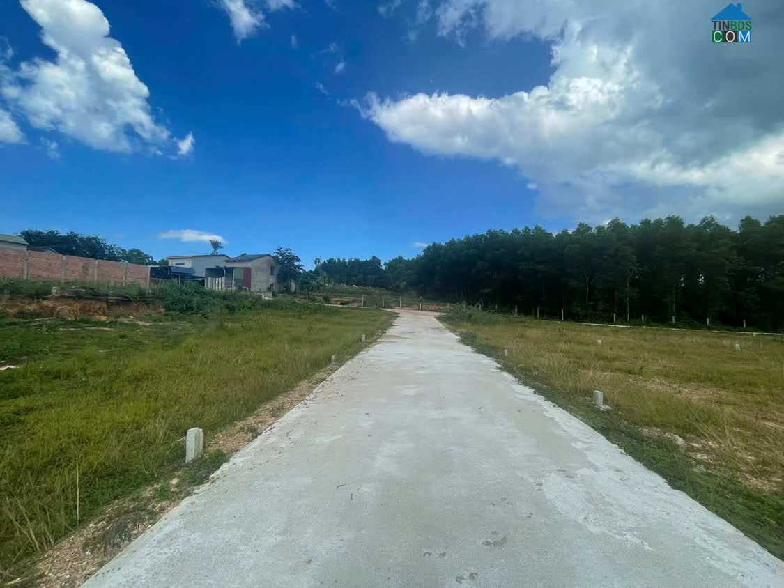 Ảnh Nếu Không Phải Lúc Này Thì Là Lúc Nào ? 0