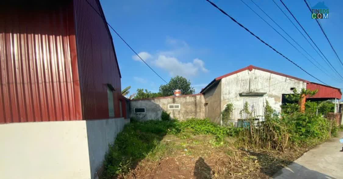 Ảnh Bán Lô Đất 60,5m² Nghĩa Phương – Đồ Sơn Giá Chỉ 7XX Triệu Sát Khu Công Nghiệp – Ven Biển –... 0