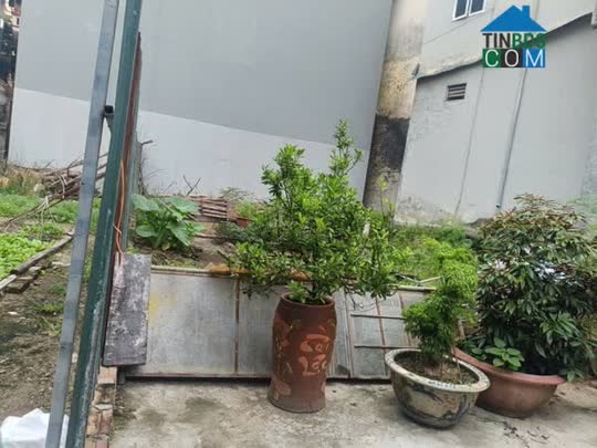 Ảnh Chính chủ gửi bán 40m đất Lưu Xá, Đức Giang, Hoài Đức 0