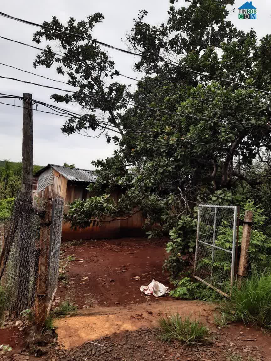 Ảnh Kẹt tiền cần bán lô đất đẹp Bình Phước 0