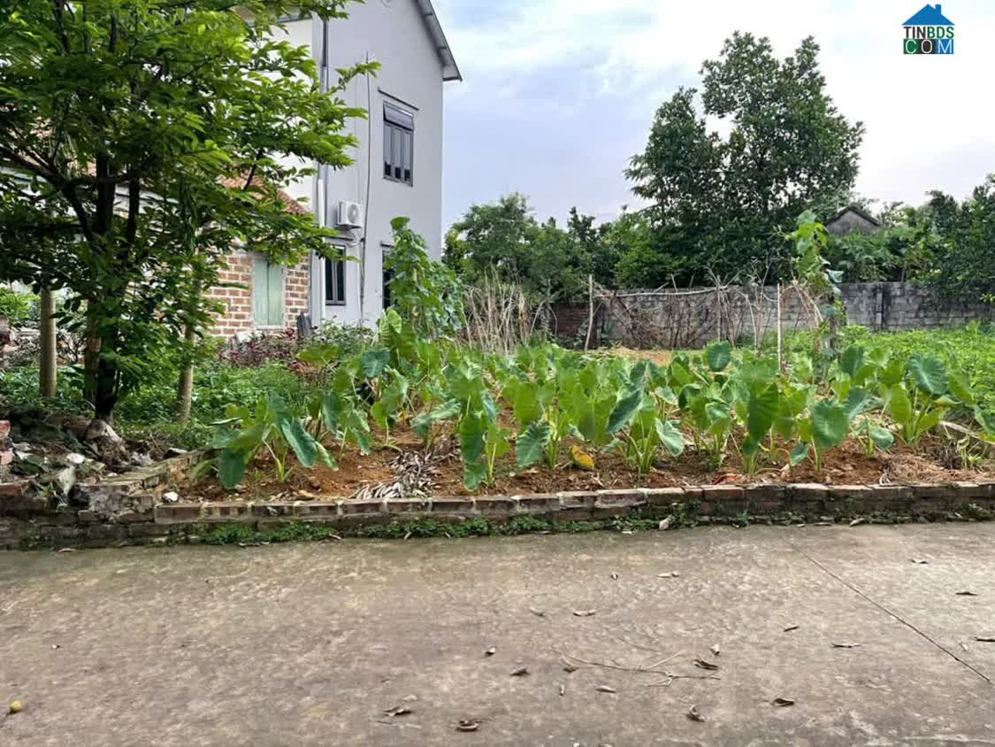 Ảnh Chính chủ cần bán mảnh đất tại Yên Thái, Phù Cát (Đông Yên, Quốc Oai) Hà Nội 0