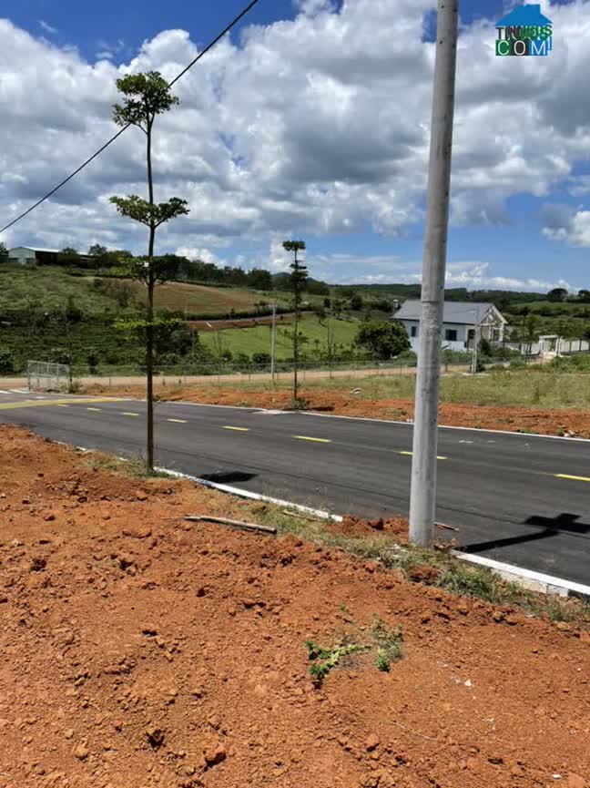 Ảnh Chỉ 8TR/m² - Sở hữu ngay lô đất nền dự án cạnh ngã 5 DAMB’RI 0