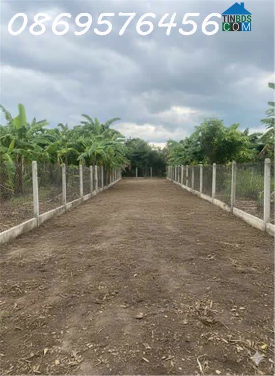 Ảnh Bán Lô Đất Vườn Có Thổ Cư Tại Diên Khánh, Khánh Hoà 0